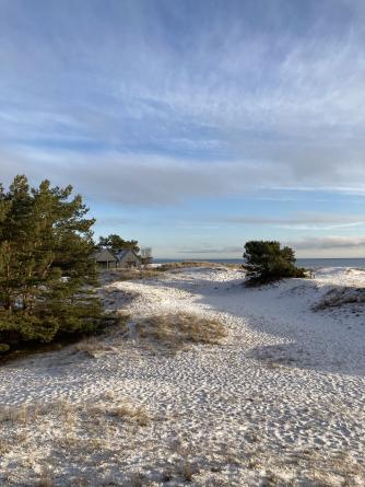 Blågrå stuga i vintrig strandmiljö