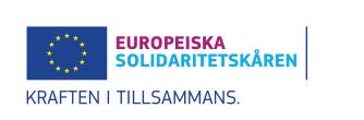 Europeiska Solidaritetskåren