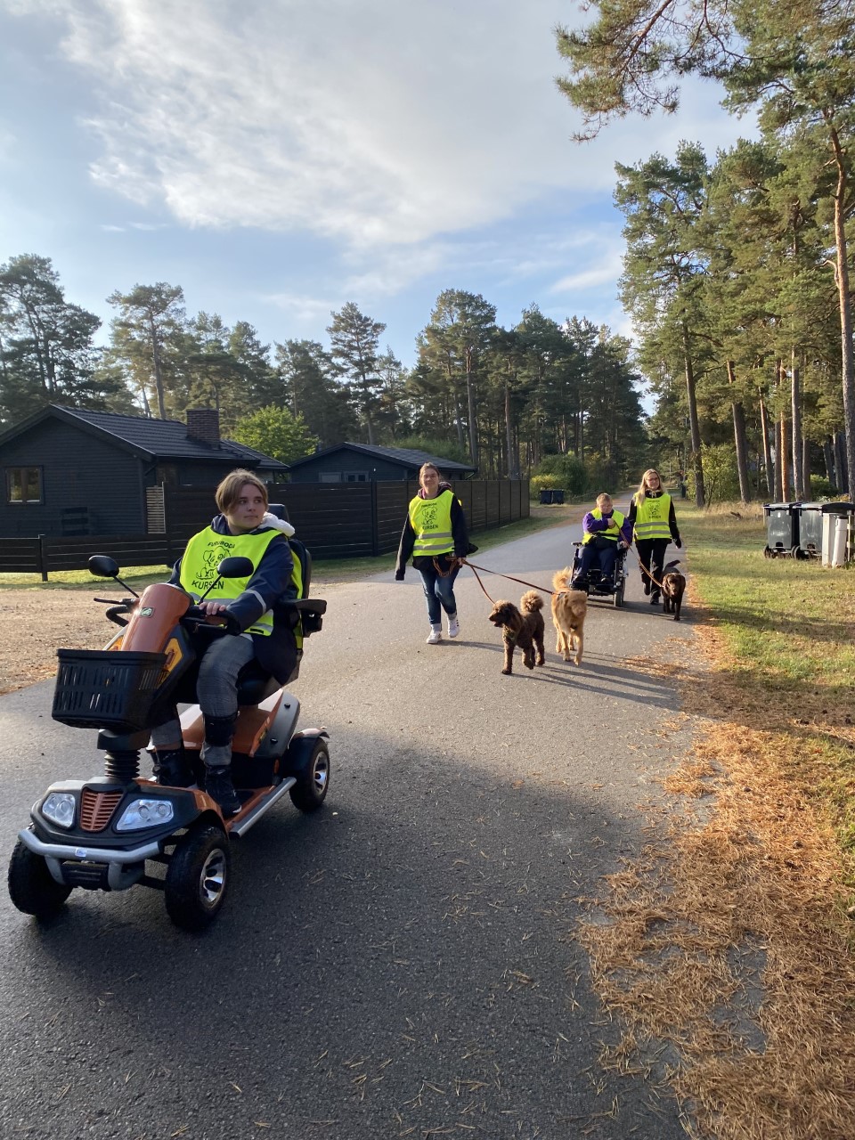 Deltagare på hundkursen på hundpromenad