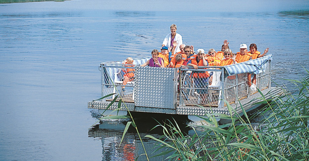 Furubodas flotte, med glada människor